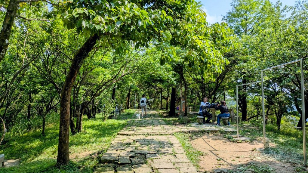 大尖山。走向_2770864