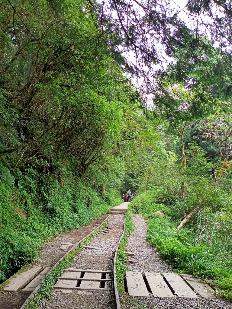 宜蘭太平山國家森林遊樂區 - 見晴懷古步道、檜木原始林步道（2-1 至蹦蹦車站）【台灣百大必訪步道】_2245147