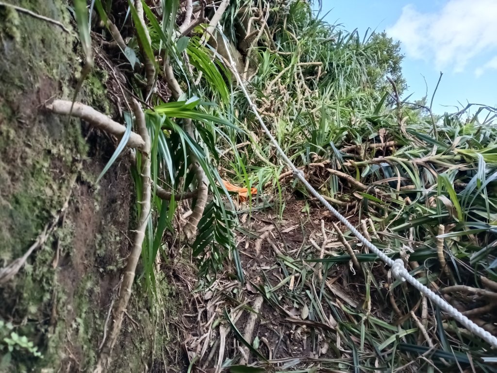 雙溪區彎穹平林山+平湖東步道+紙坑古道(億山煤礦)+紙坑山出平水聚落O型_2965838