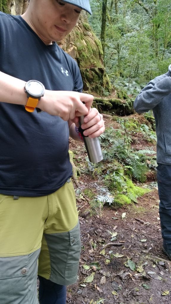 米羅山之木_292922