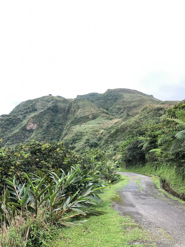 2021.03.13草嶺古道_1493336