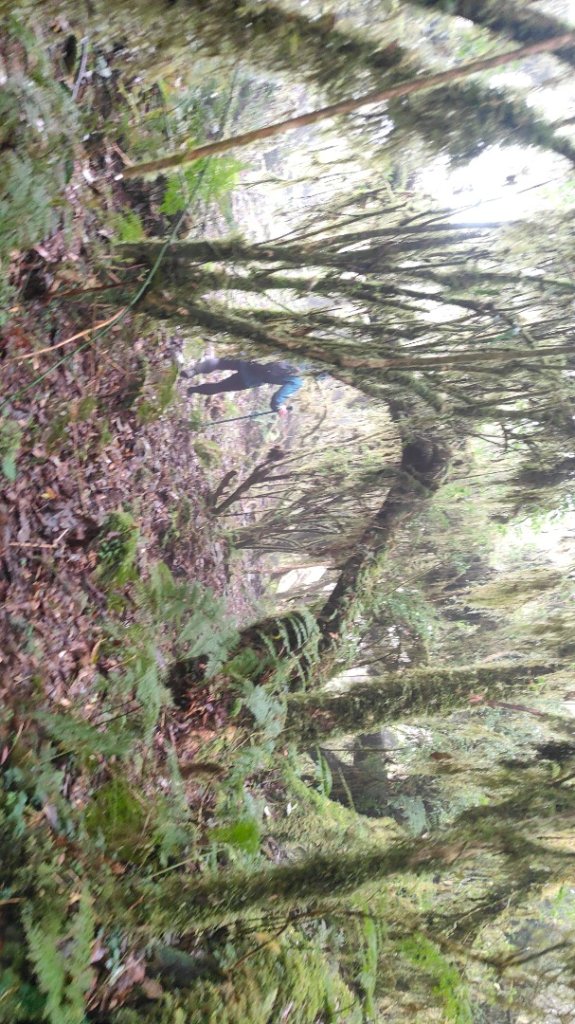 茶仁山單攻2025年4月4日_2753339