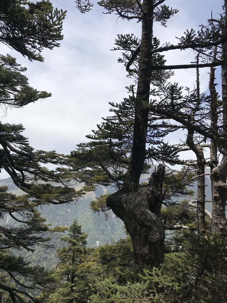 吃辣有益健康~屏風山單日來回_1370035
