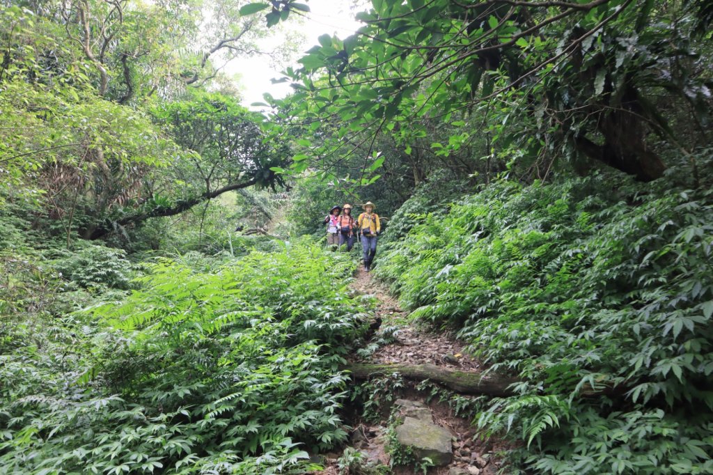 福卯古道-雪山尾稜北段-隆嶺古道_2800026