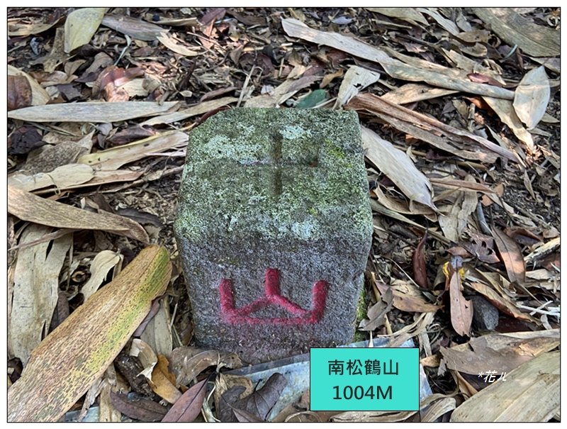 南松鶴山～八仙山 (台中 和平)封面圖