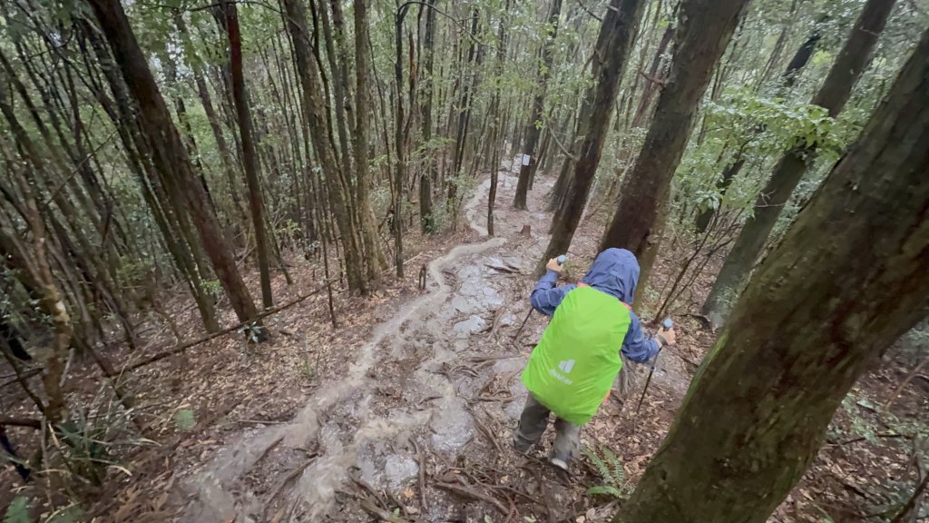 回程下雨的 松鶴上 八仙山 20251025_2925762
