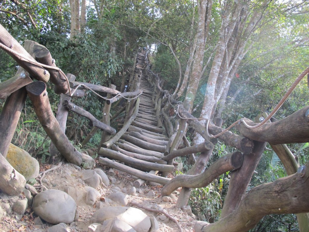 2020-10-30 大坑2號_1147851