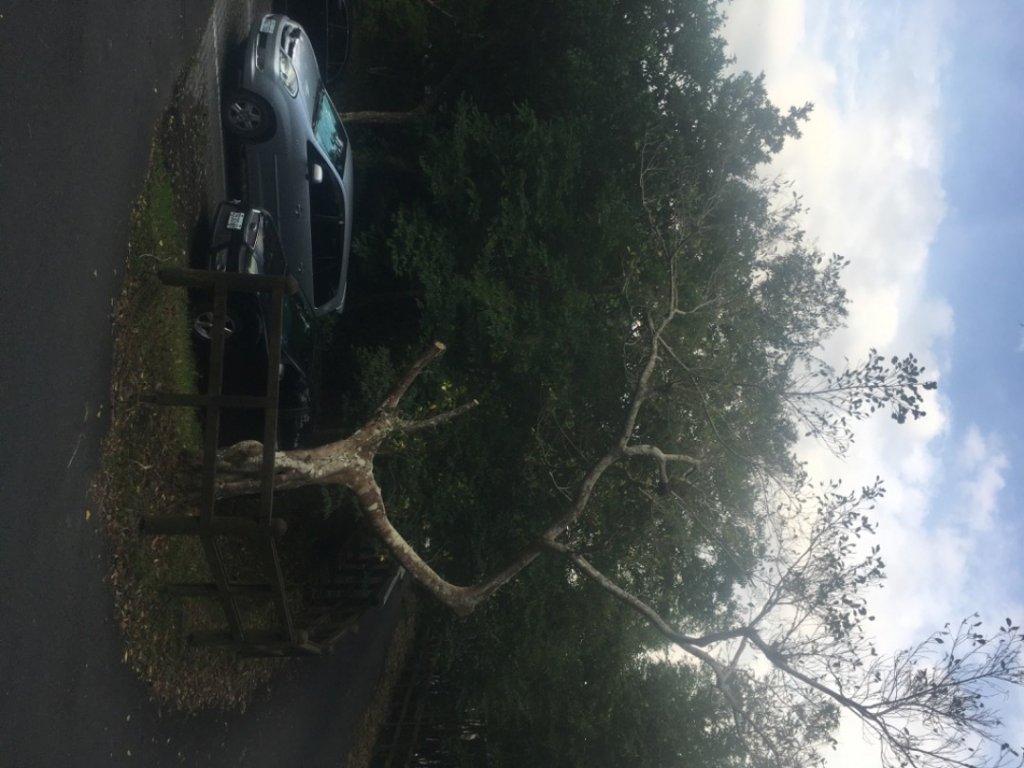 天使瀑布、米老鼠步道_2240785