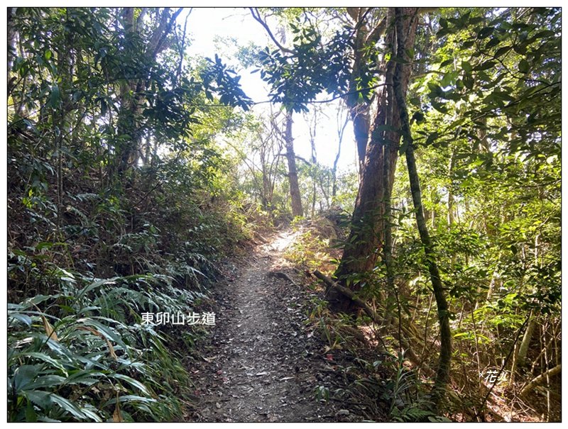 東卯山、東卯山西峰、東卯山西南峰 連走_2932792