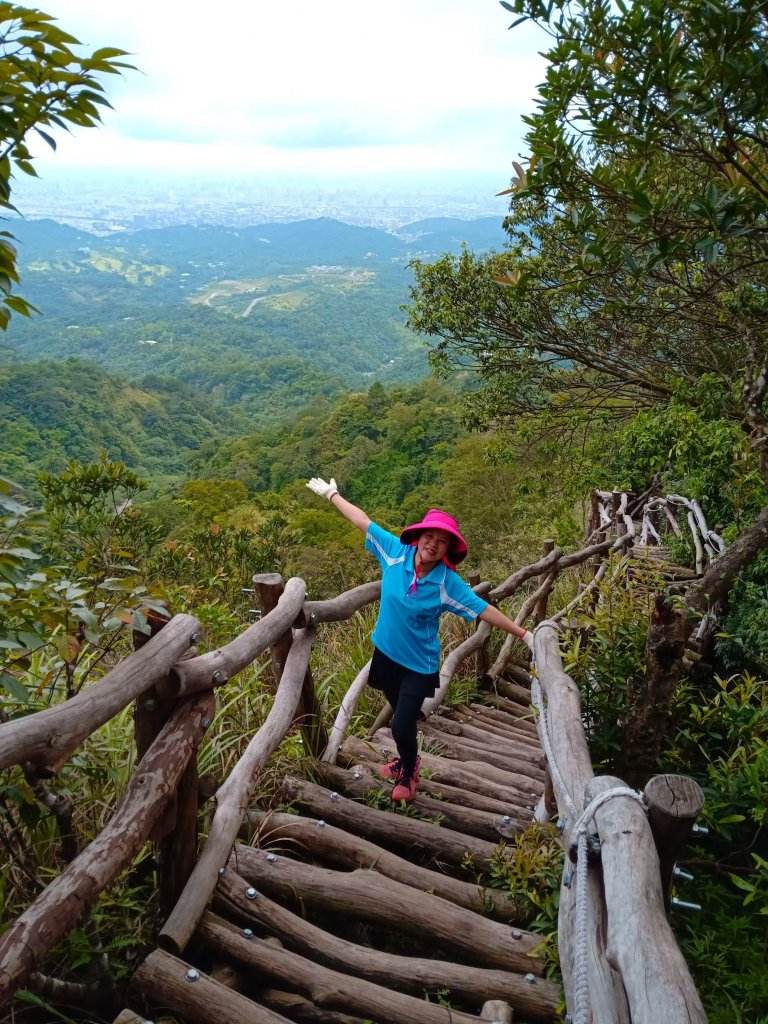 小百岳(41)-頭嵙山(四號步道)-20180815封面圖