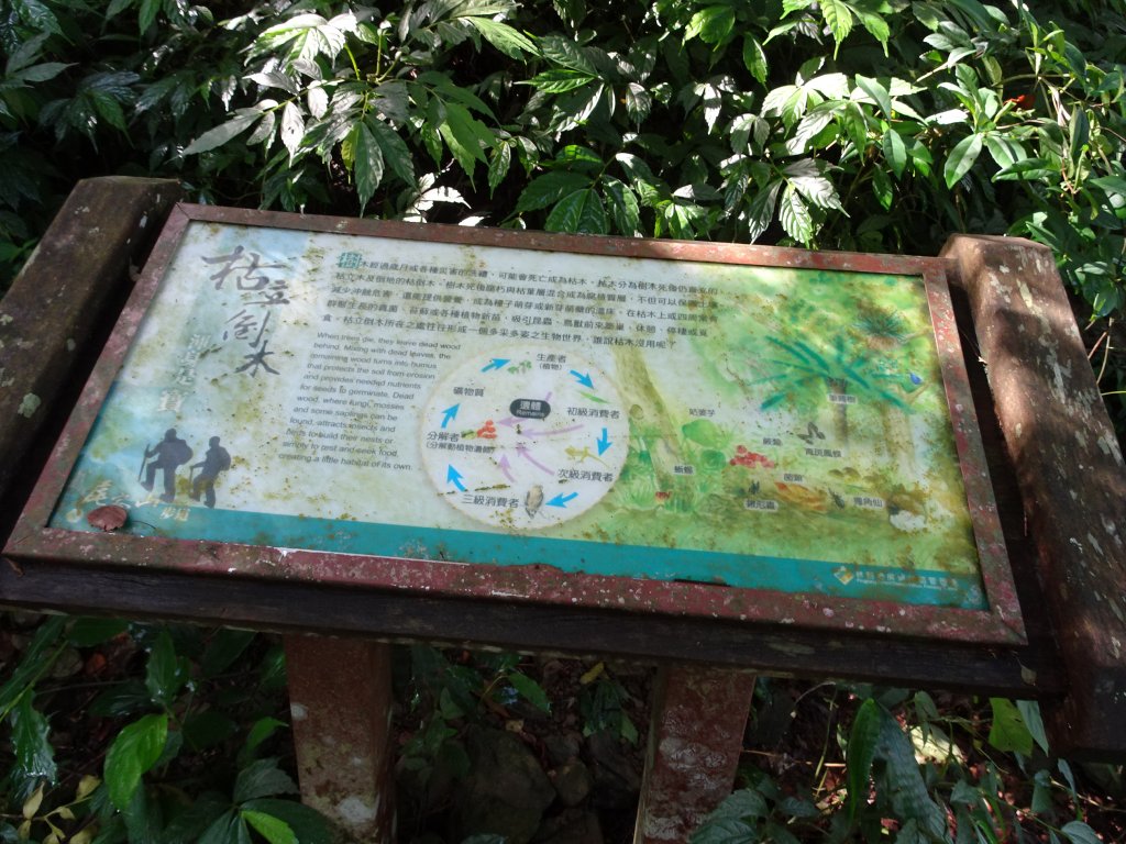 台灣小百岳第73座-屏東高樹-尾寮山_1105681