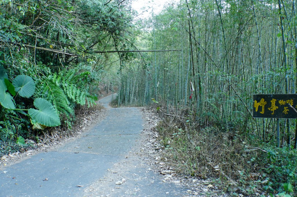 南投 鹿谷 龍鳳山、龍鳳峽山、三叉崙山、水桶寮山、內樹皮山、羊頭崙山、志騰山、竹崙山、溪頭山_2962233