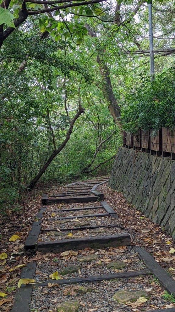 碧溪步道封面圖