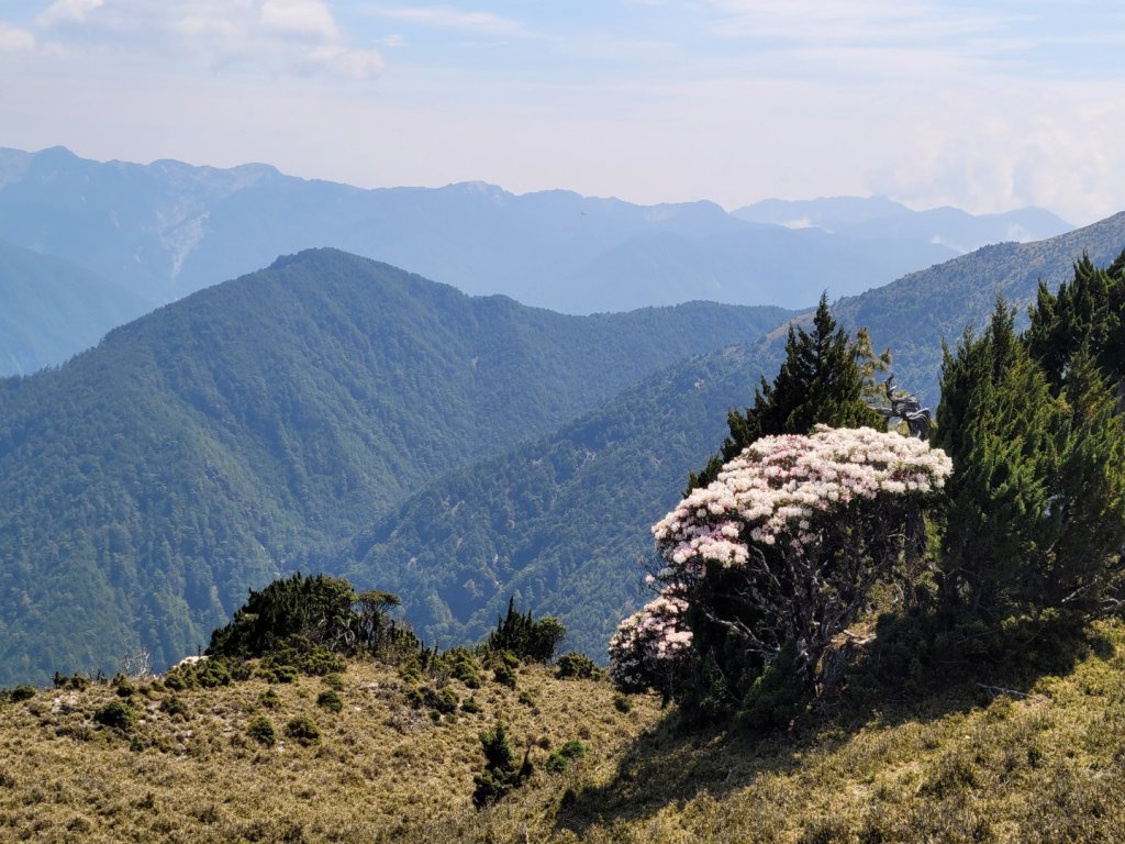 20230428馬博橫斷五天(百岳第80~84座)_2146174