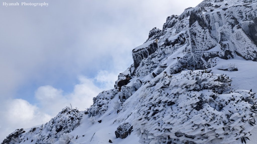 雪山西稜5天4夜_2427795