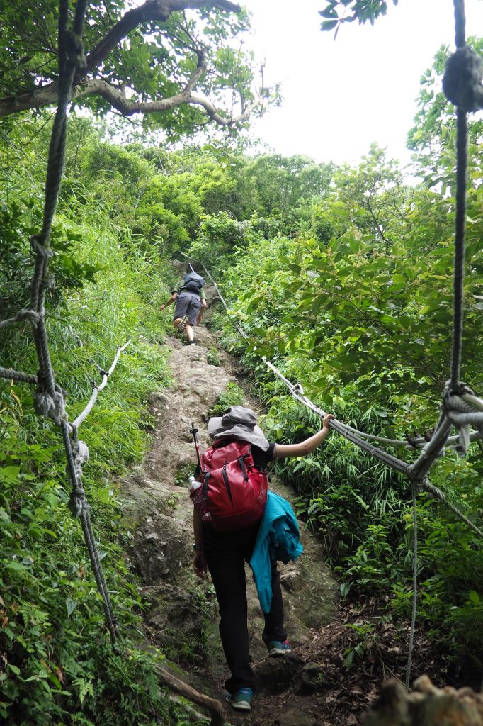 占山連峰封面圖