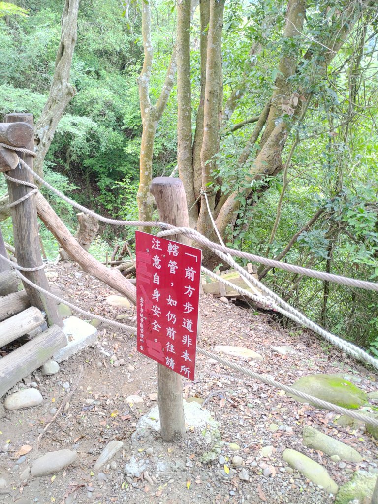 20230610大坑3-1號4號步道_2178910