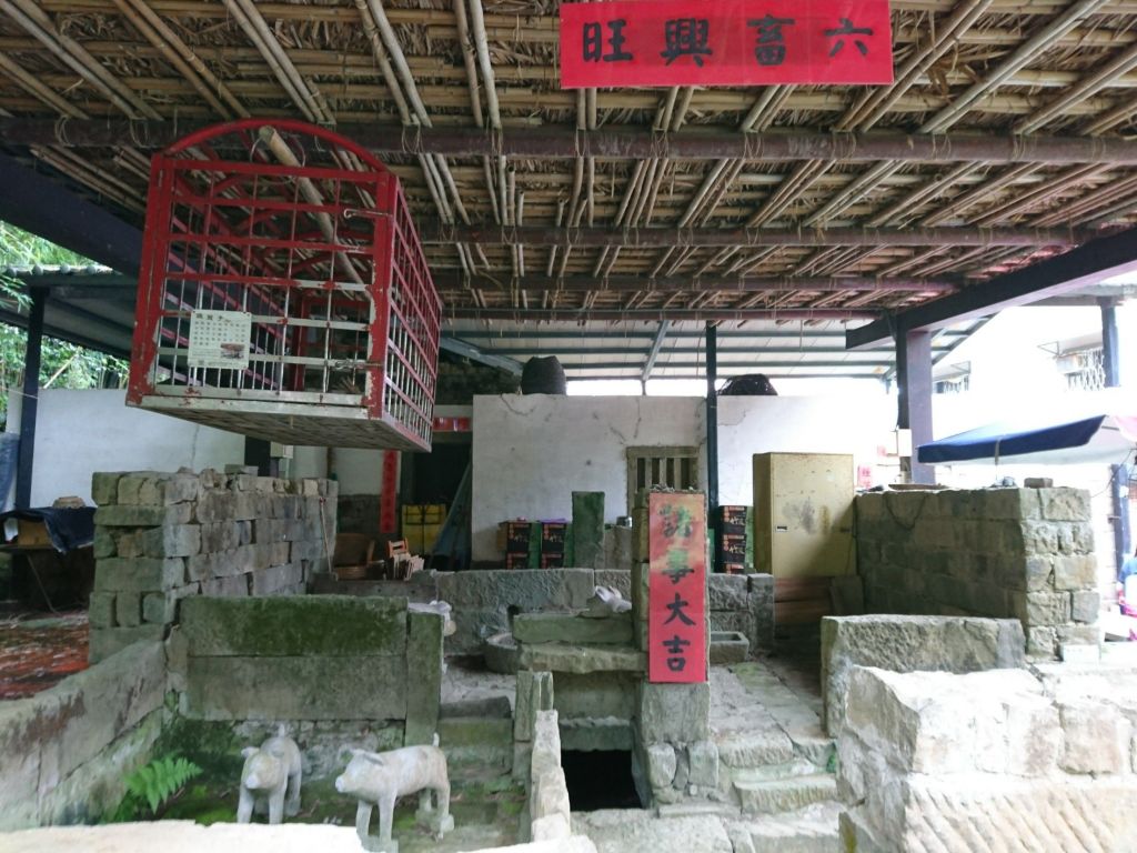 貓空樟樹步道 2017.05.21_139512