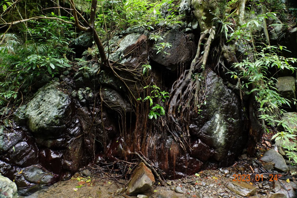 屏東 獅子鄉 女仍山(汝乃山、女乃山)_2011499