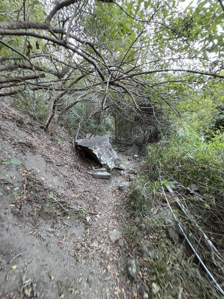 20251213屏東里龍山_2961271