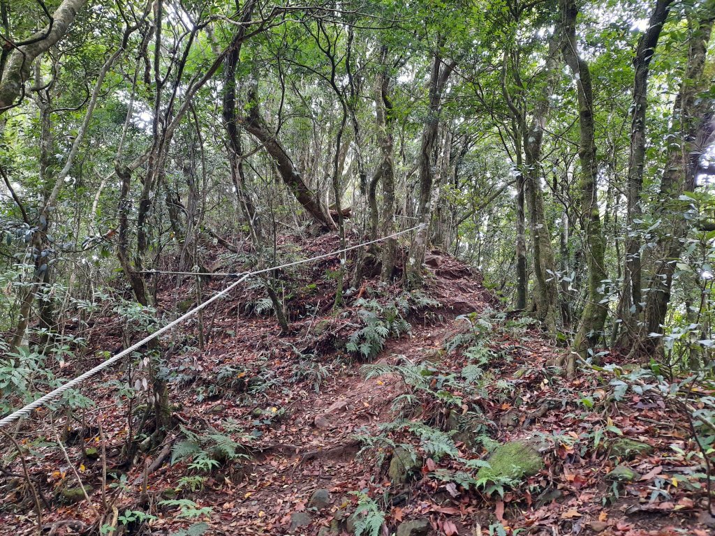 騰龍山 橫龍山北峰 橫龍山 O型_1205384