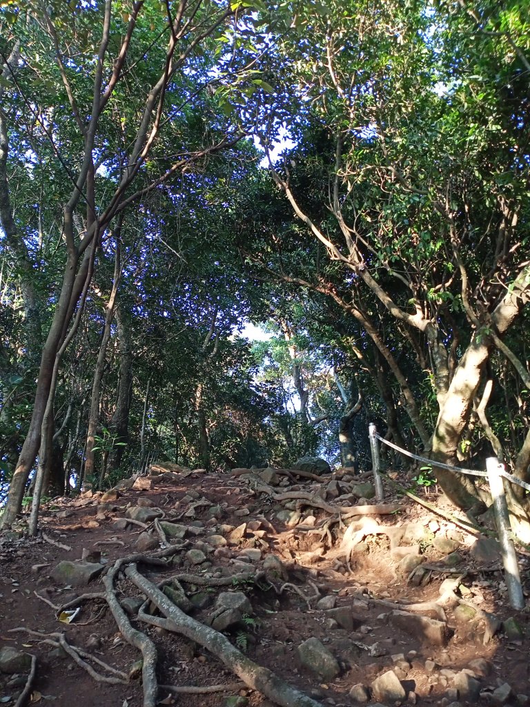 【臺北大縱走 1】貴子坑→忠義山→關渡_1275421