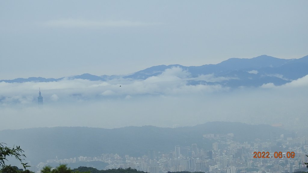雲山水花鳥蝶 - 雲霧飄渺間的101大樓也是天空之城 ?_1731667
