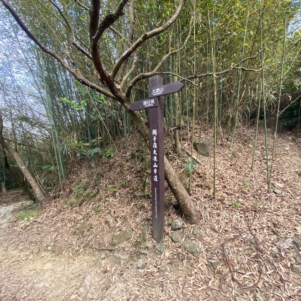 台南大凍山 1241M 小百岳#63_1270943