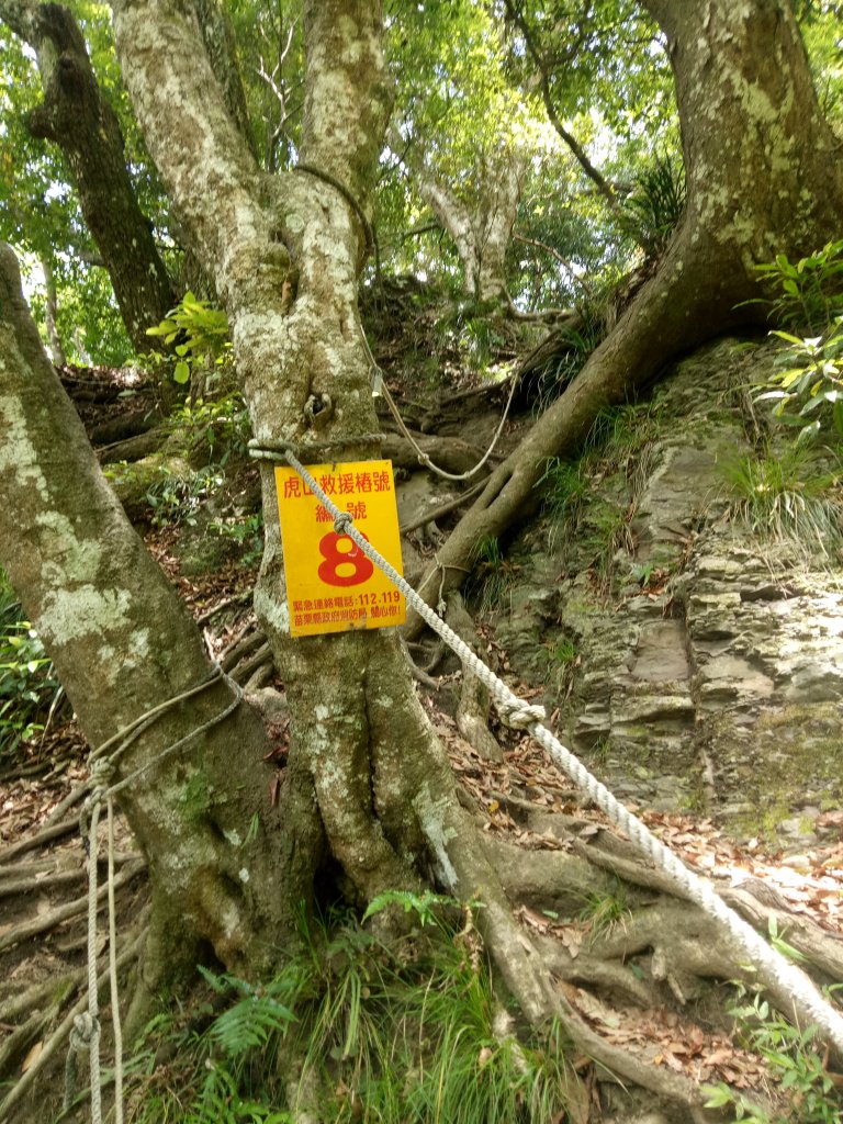 泰安水雲三星之首---虎山_1902791