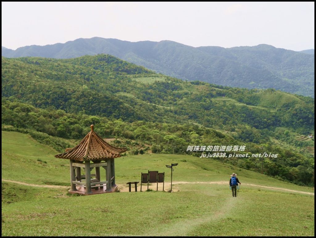 桃源谷步道內寮線浪漫大草原_365422