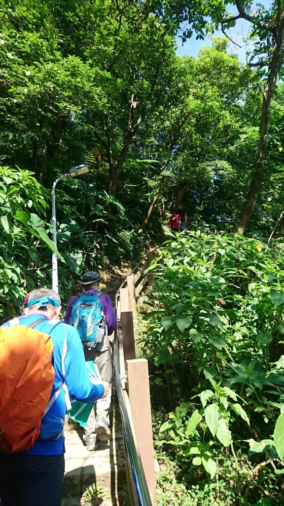 台北信義區象山_141992