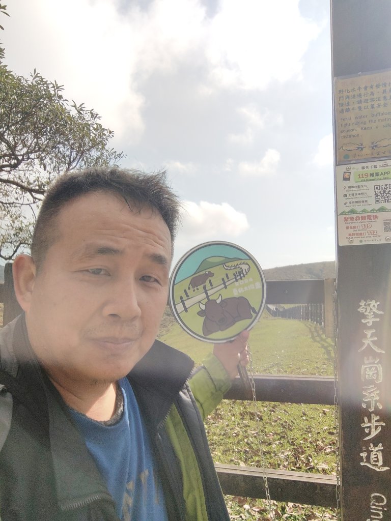 擎天崗草原_2678781