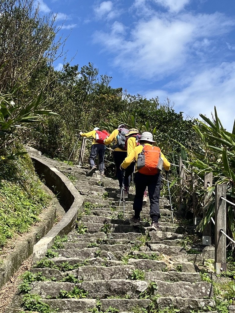20250302基隆山步道_2755464