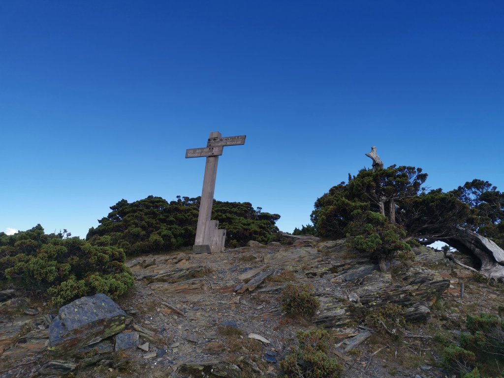 2022-07-21八大秀_1789370