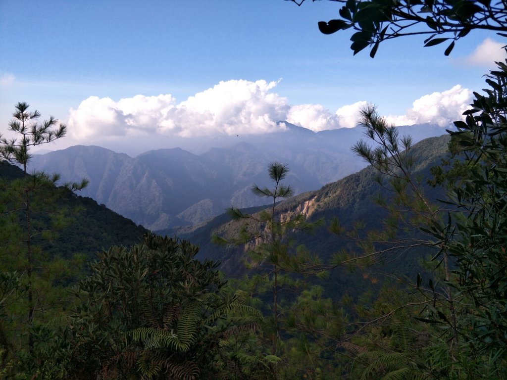 谷關七雄：八唐縱走(八仙山、唐麻丹山)_1507661