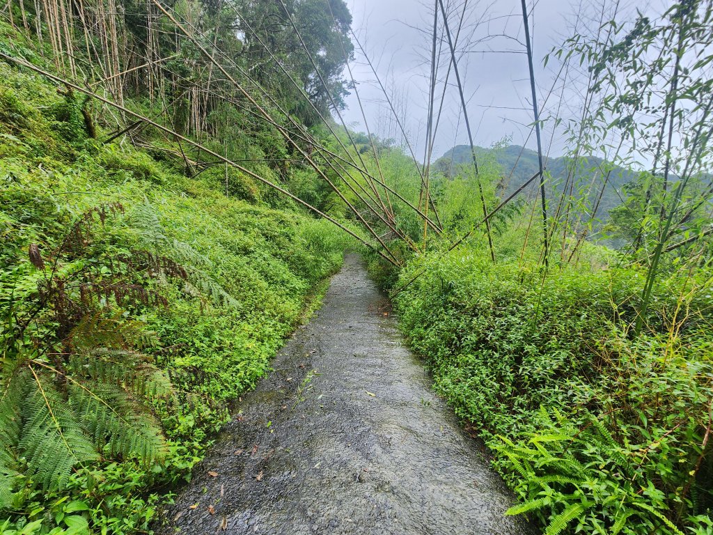 20250719頂湖上大凍山_2907146