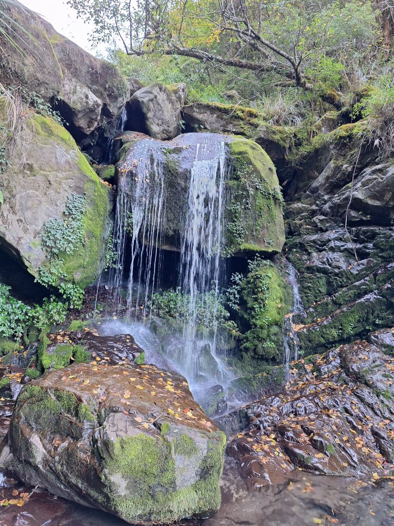石山引水道20251211封面圖