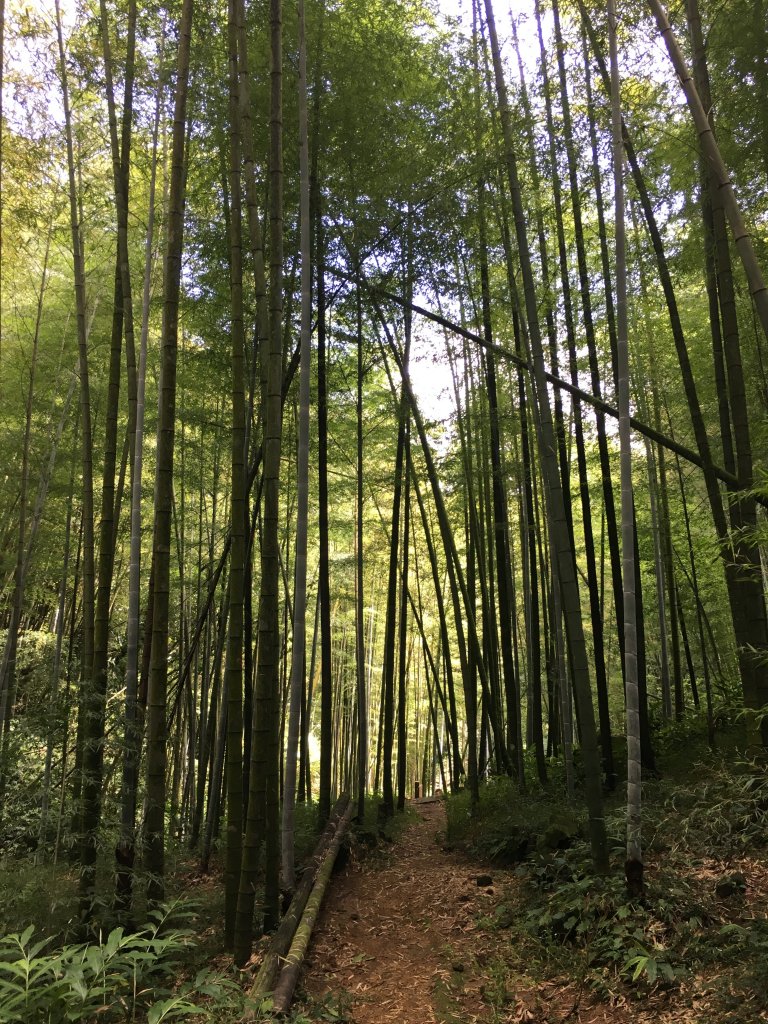 20160925_四大天王步道_873551