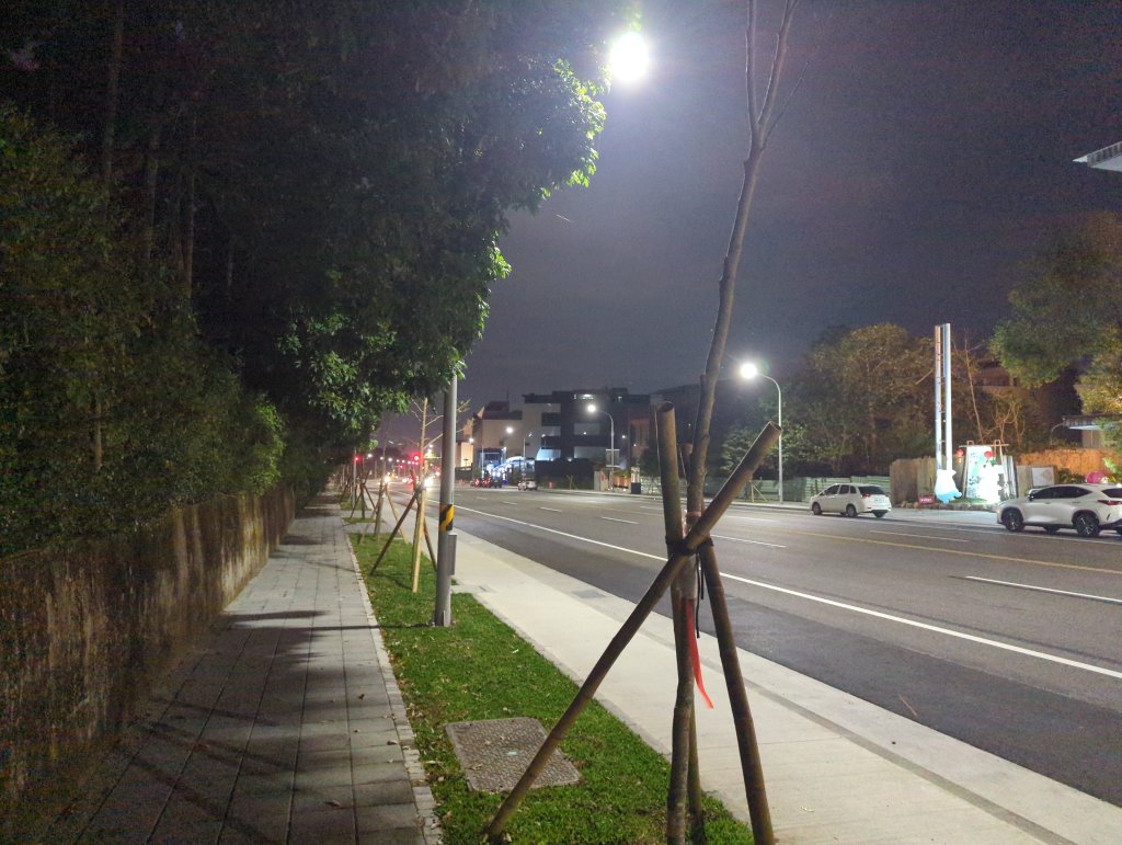 2025.03.03－嘉義後山夜間漫遊_2728113