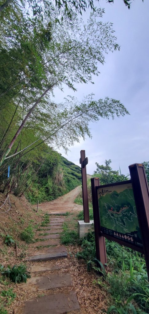 2024-05-18梨子腳山步道_2507943
