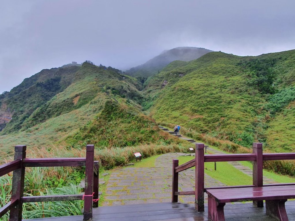 草嶺古道，跑馬古道，十一指古道，頭寮生態步道，金敏子山，詩朗山，王公坑山_1610518