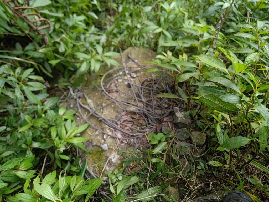 獅子頭山_2440538