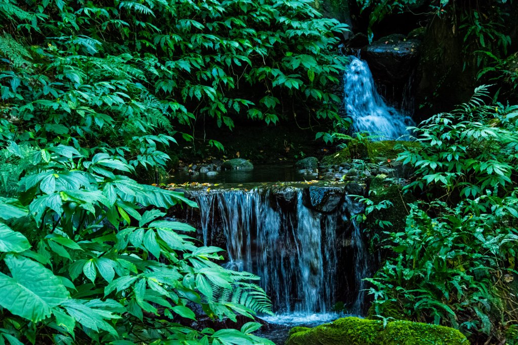 馬武督探索森林_2930697