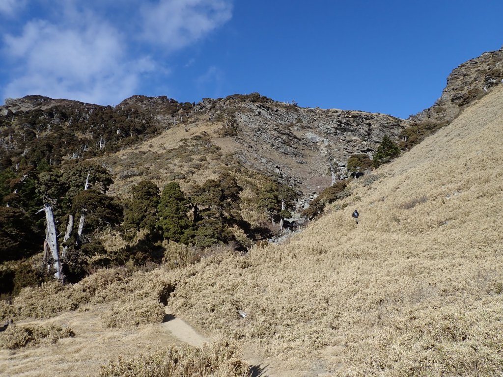 20190208南湖大山東北峰_524657