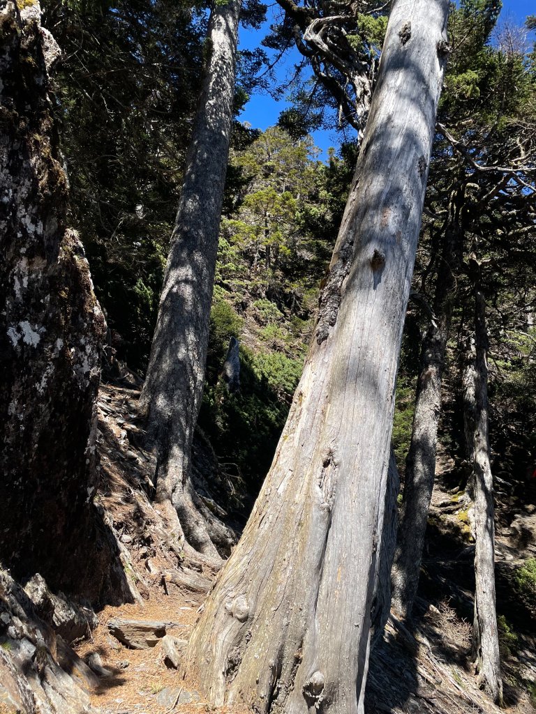 【健人HIKERS】兩天一夜玉山主峰、玉山西峰_2769149