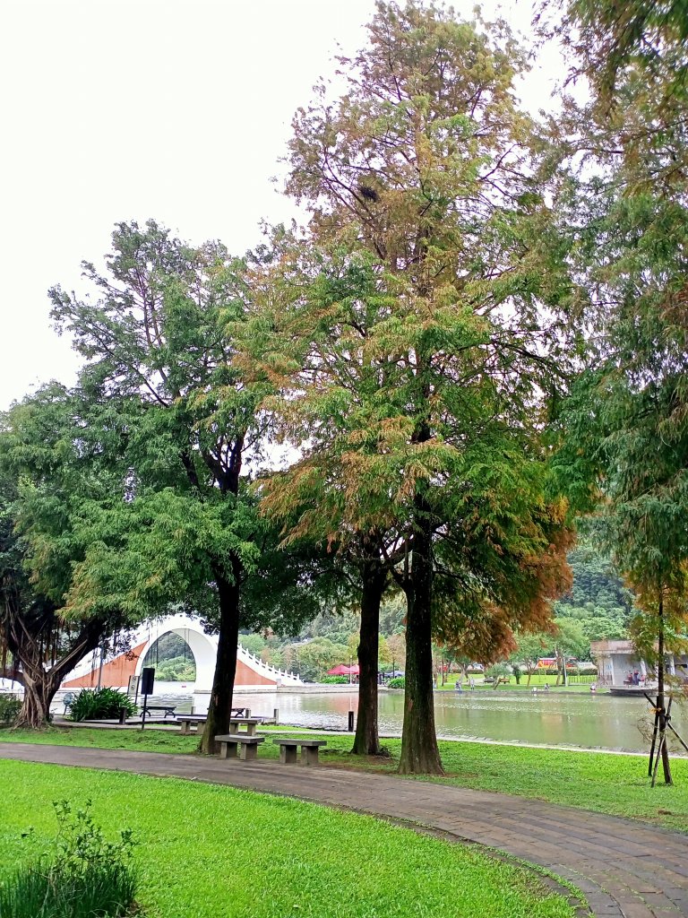 大湖公園 - 消防人員救生艇訓練【走路趣尋寶】_1925081