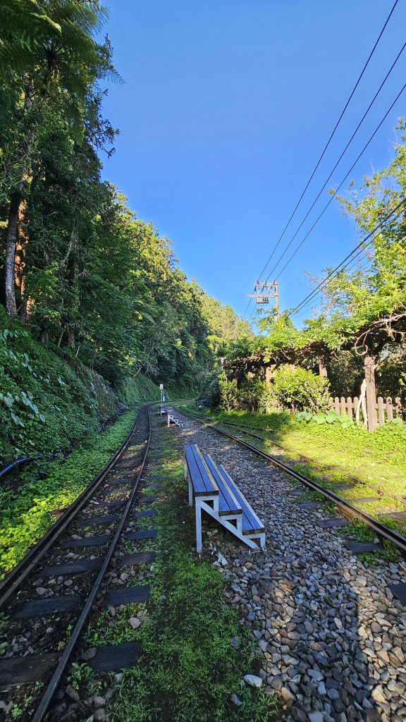 【絕版路線請勿跟進】十字路走得恩亞納-大O繞13.4K_2791538
