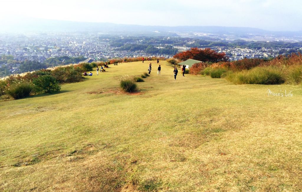 日本奈良若草山封面圖