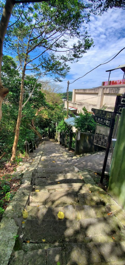 2024-06-15觀音山【福隆山、尖山(占山)登山步道】O走_2528182