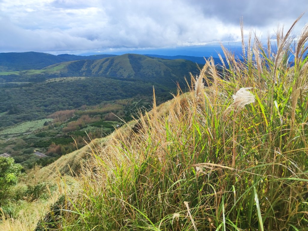 苗圃上七星下冷水坑_2647499